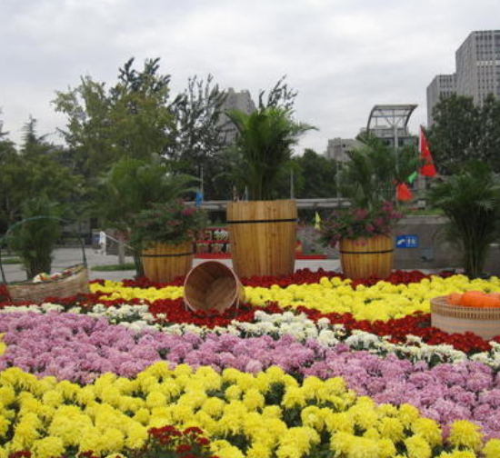 滁州城市菊展设计