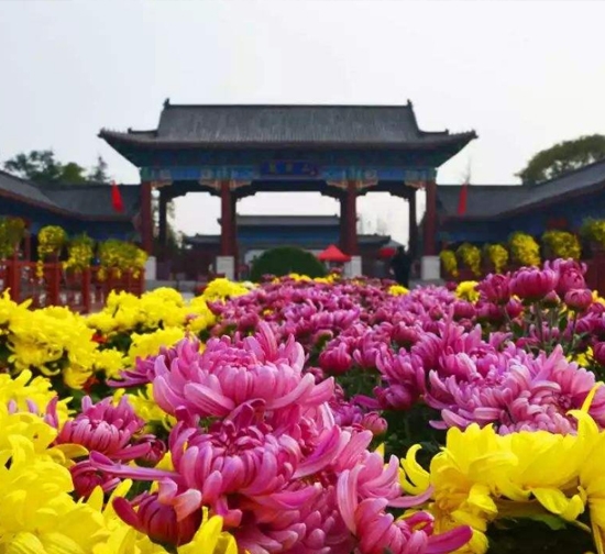滁州公园菊展施工