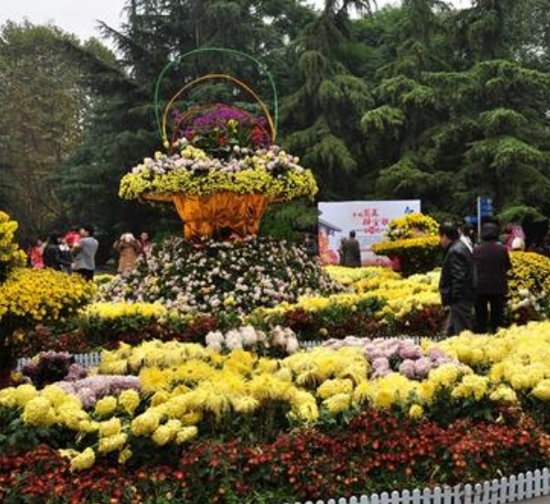 滁州公园菊展设计施工